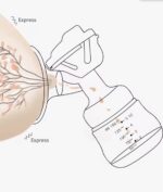 Tire-lait Électrique Intelligent Rechargeable RH338 / USB – 3 Modes & 9 Niveaux, Sans BPA | Inya Baby Algérie – Image 2